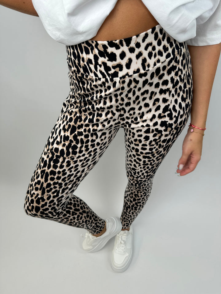 High Waist Leggings mit Leopardenprint (T2401)